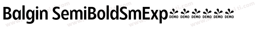 Balgin SemiBoldSmExp字体转换